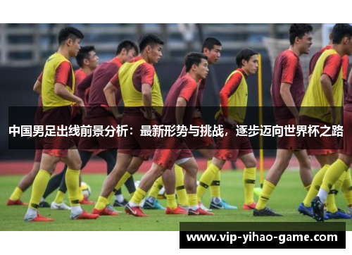 中国男足出线前景分析：最新形势与挑战，逐步迈向世界杯之路
