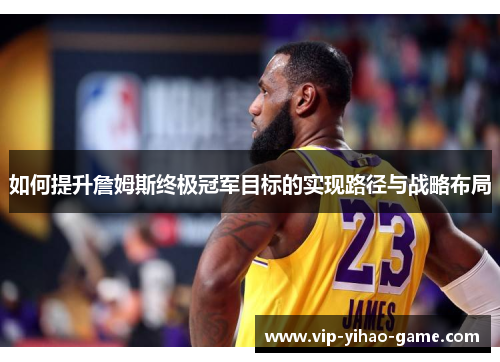 如何提升詹姆斯终极冠军目标的实现路径与战略布局