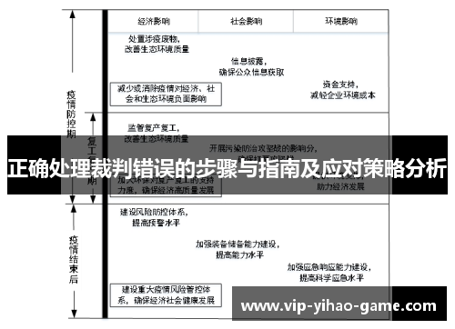 正确处理裁判错误的步骤与指南及应对策略分析
