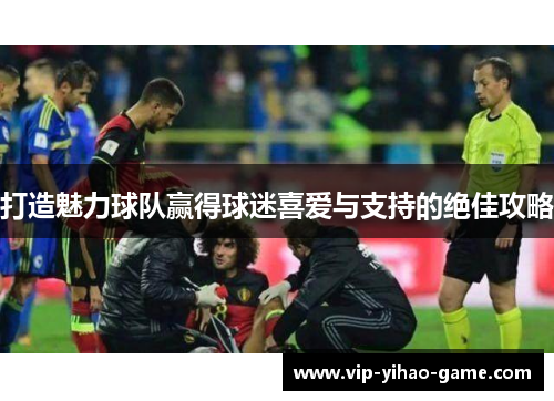 打造魅力球队赢得球迷喜爱与支持的绝佳攻略