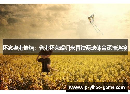 怀念粤港情结：省港杯荣耀归来再续两地体育深情连接